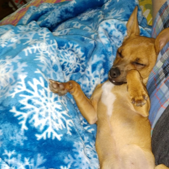 Meet your Posher, Marcy - Picture 10 of 16